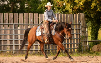 Focus discipline VRH : le Ranch Riding