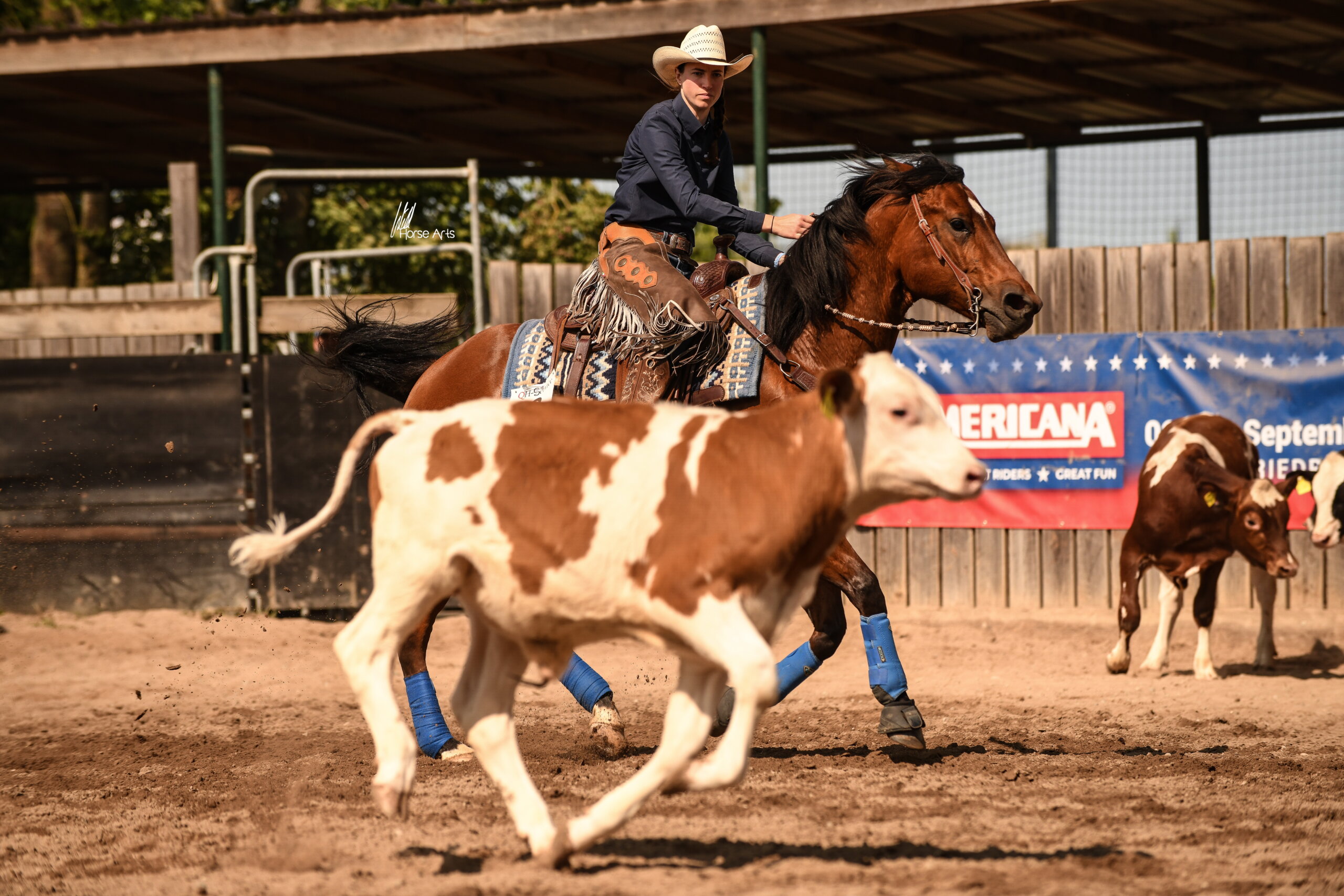 photo-concours-VRH (5)