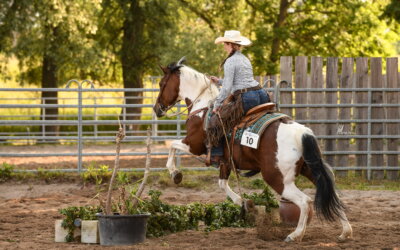 Focus discipline VRH : le Ranch Trail