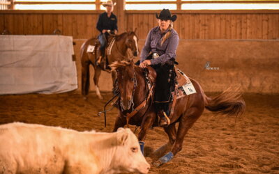 Focus discipline VRH : le Ranch Cutting