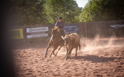 Concours VRH au Mühlental Ranch – Août 2024