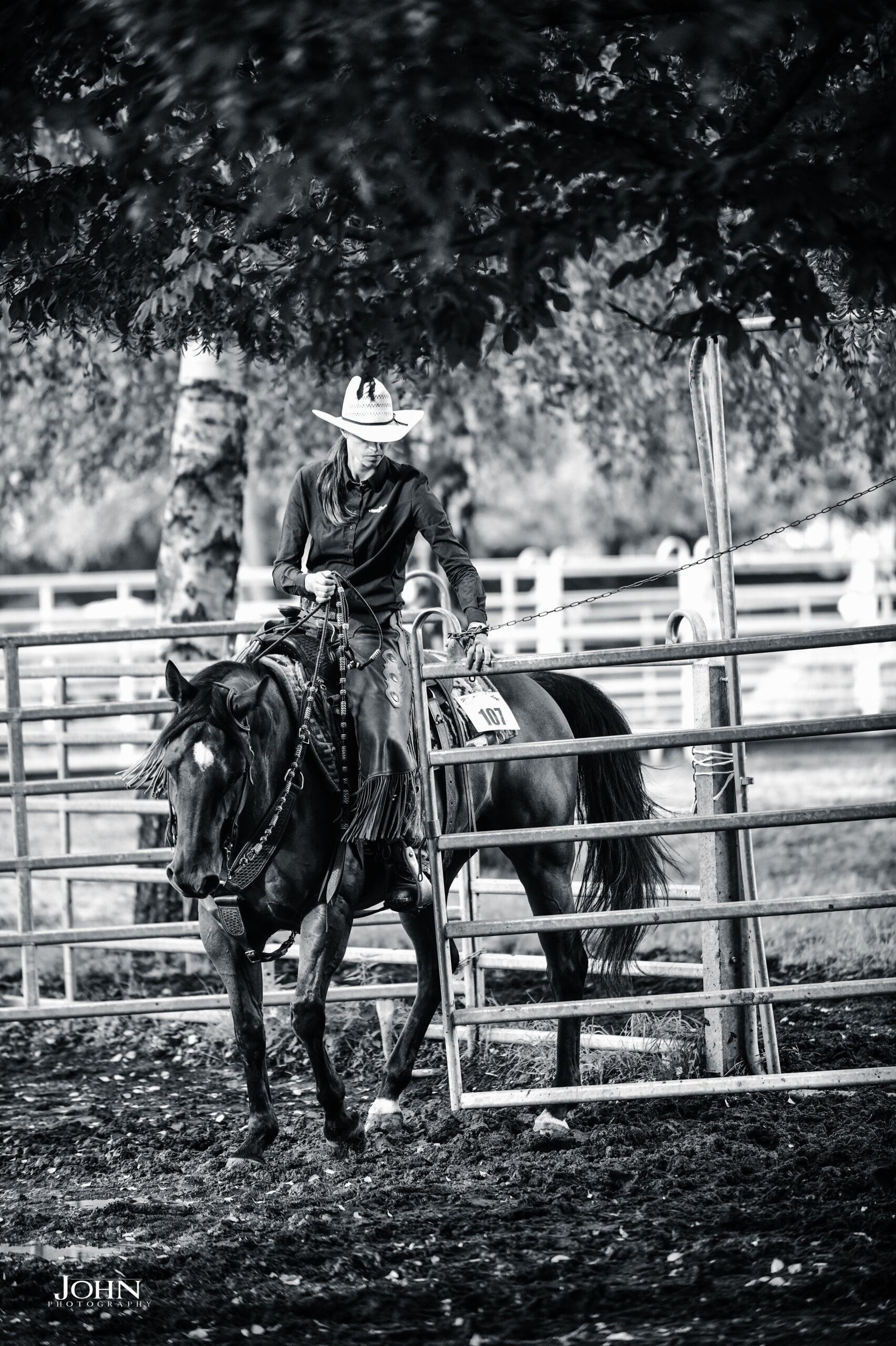 photo-concours-versatility-ranch-horse (1)