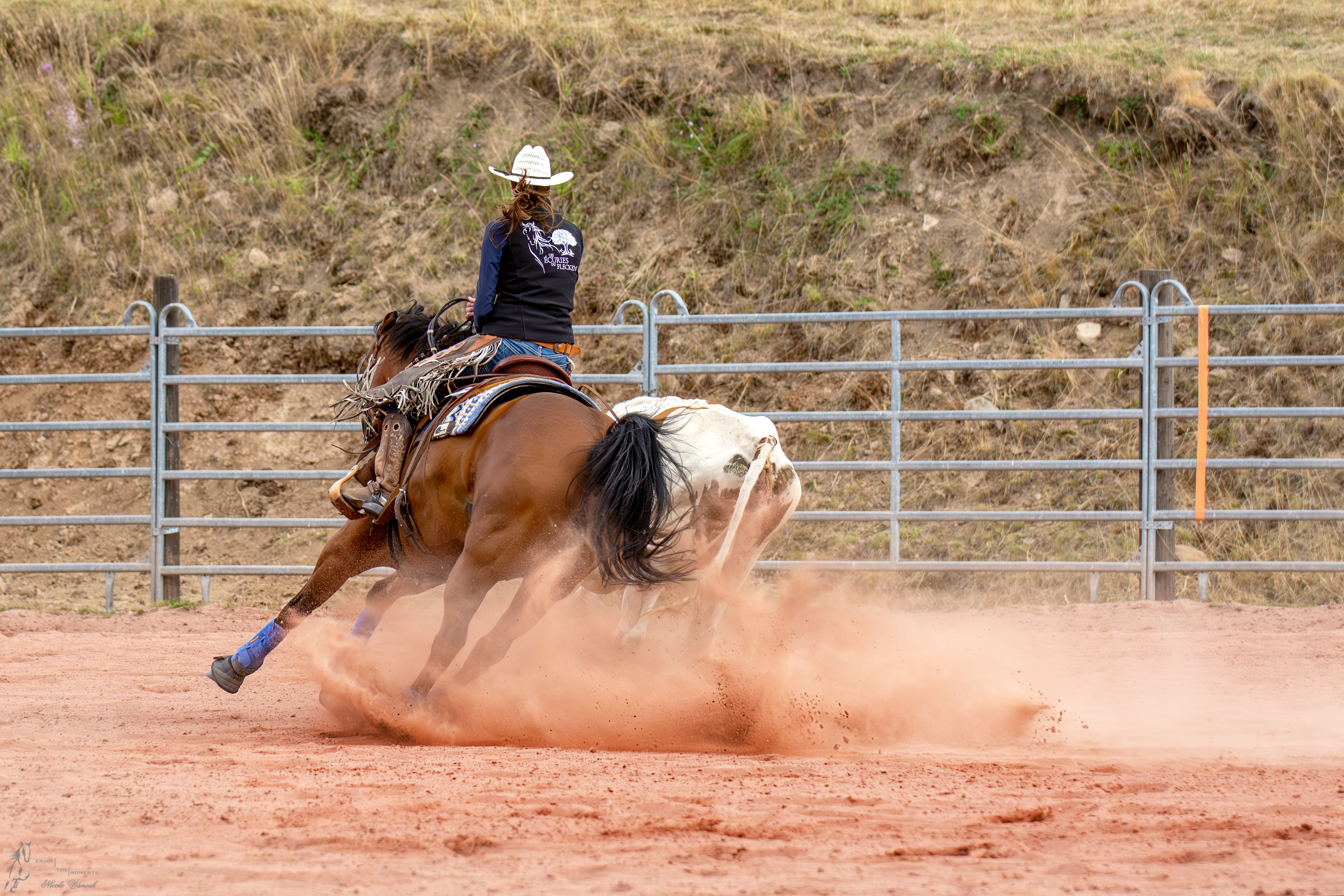 photo-concours-versatility-ranch-horse (2)