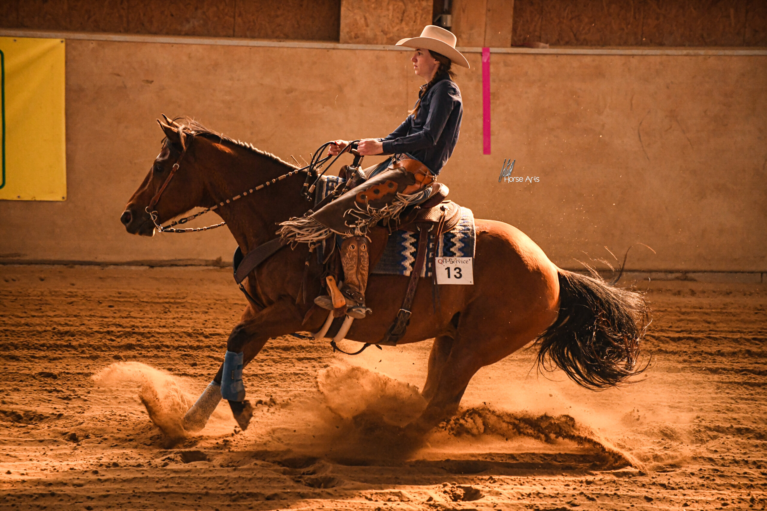 photo-concours-versatility-ranch-horse (5)