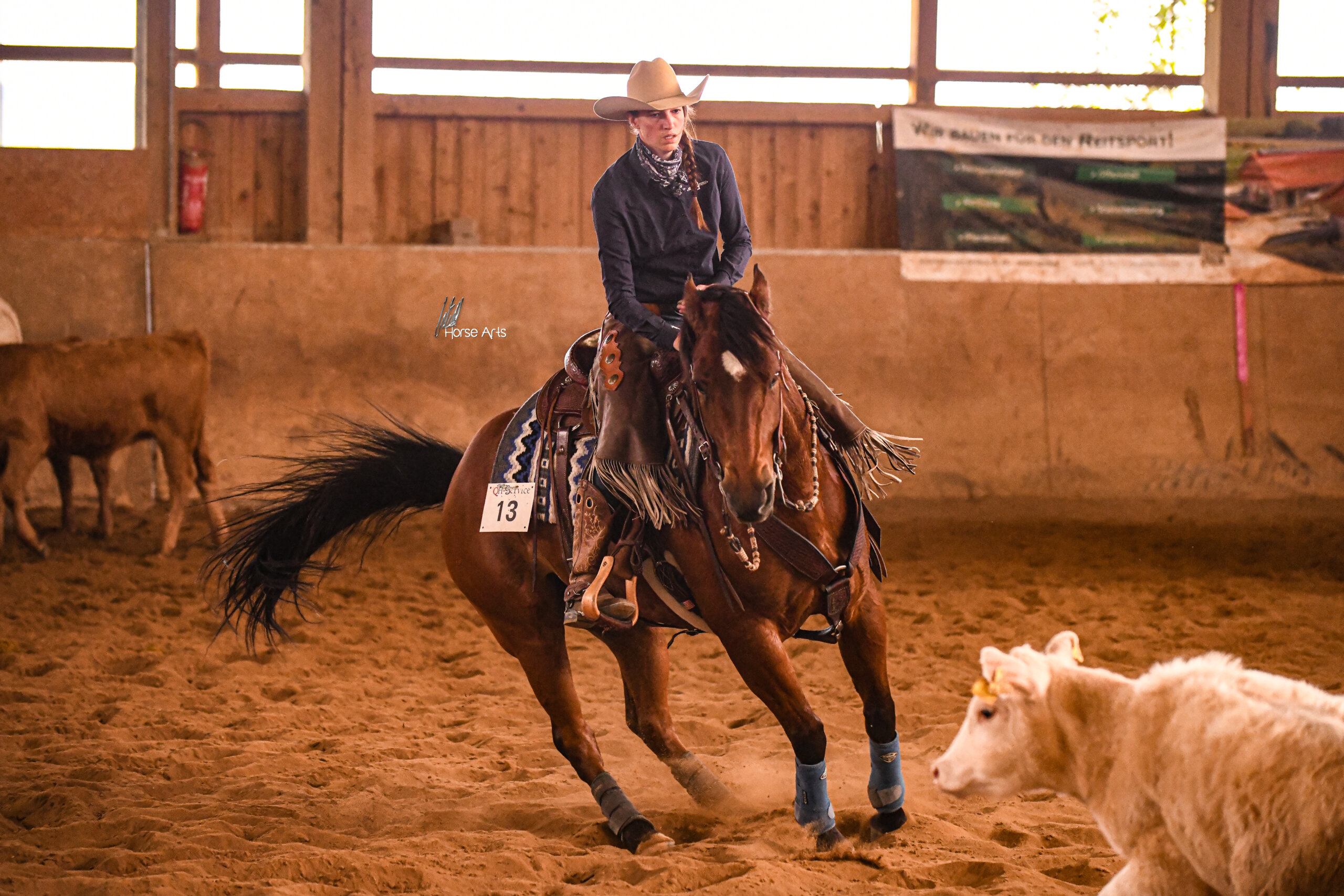 photo-concours-versatility-ranch-horse (6)