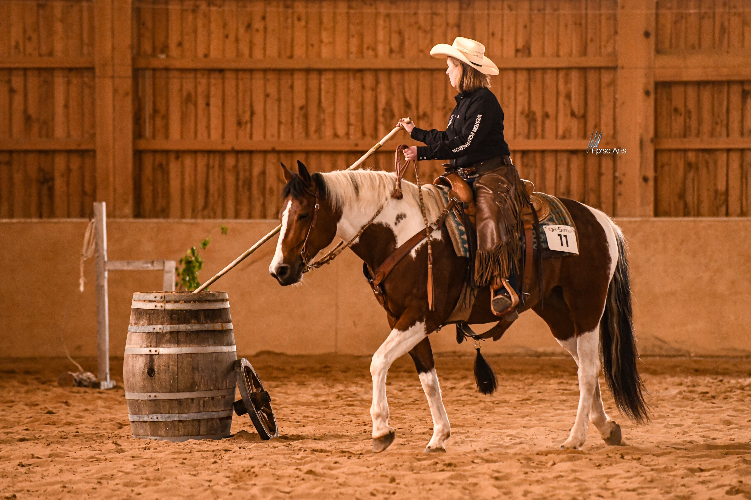 photo-concours-versatility-ranch-horse (7)