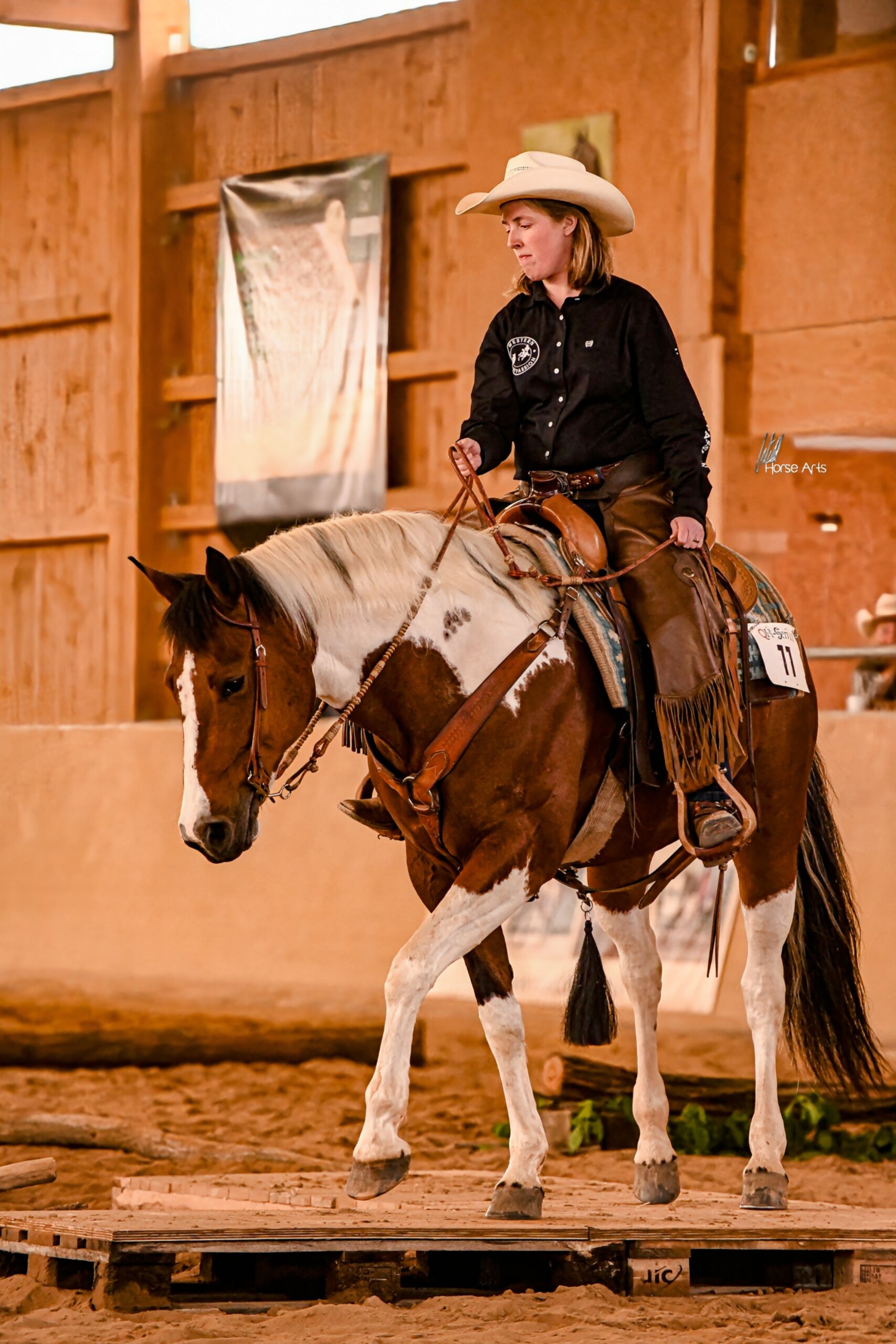 photo-concours-versatility-ranch-horse (8)
