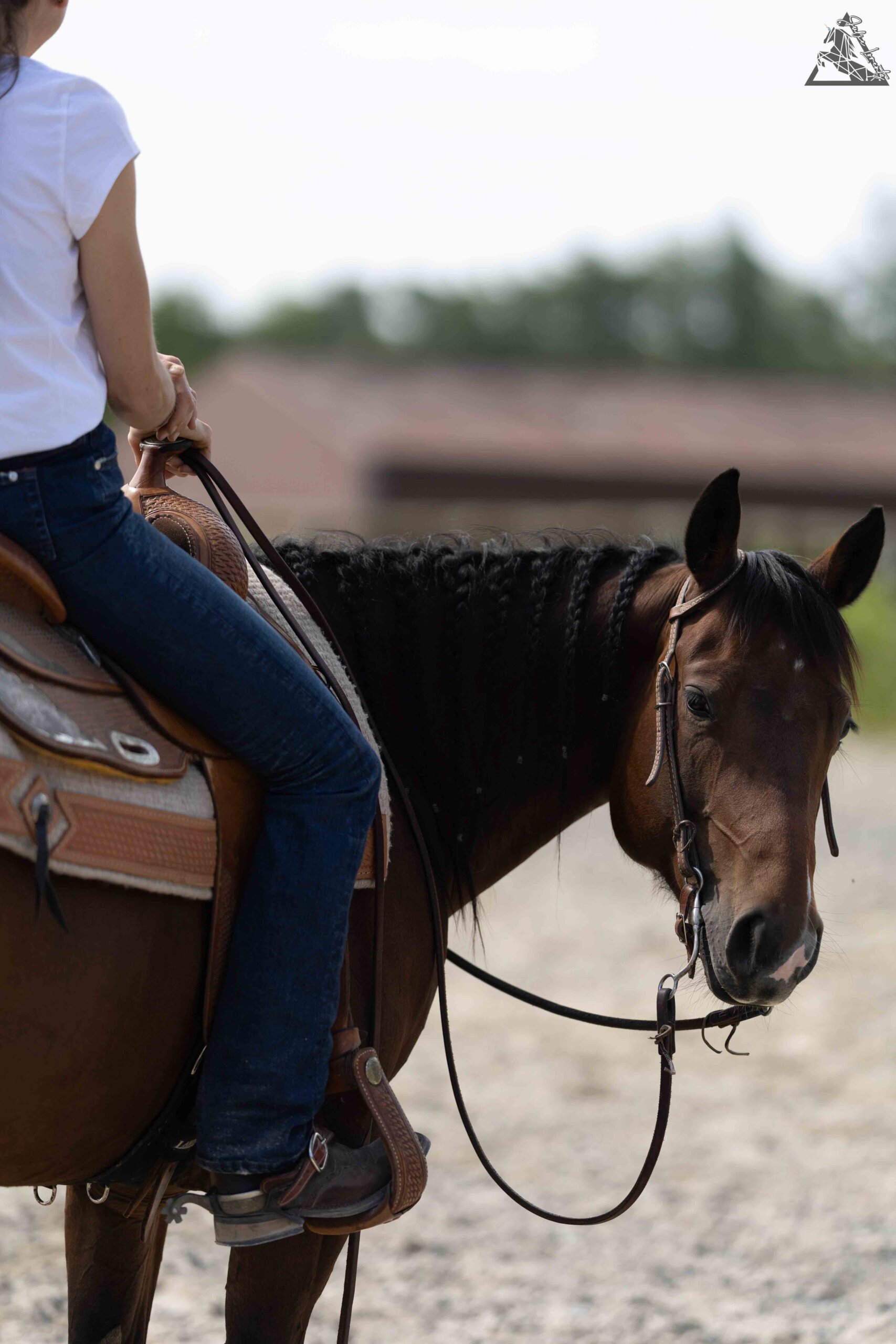 photo-stage-ranch-horse (13)