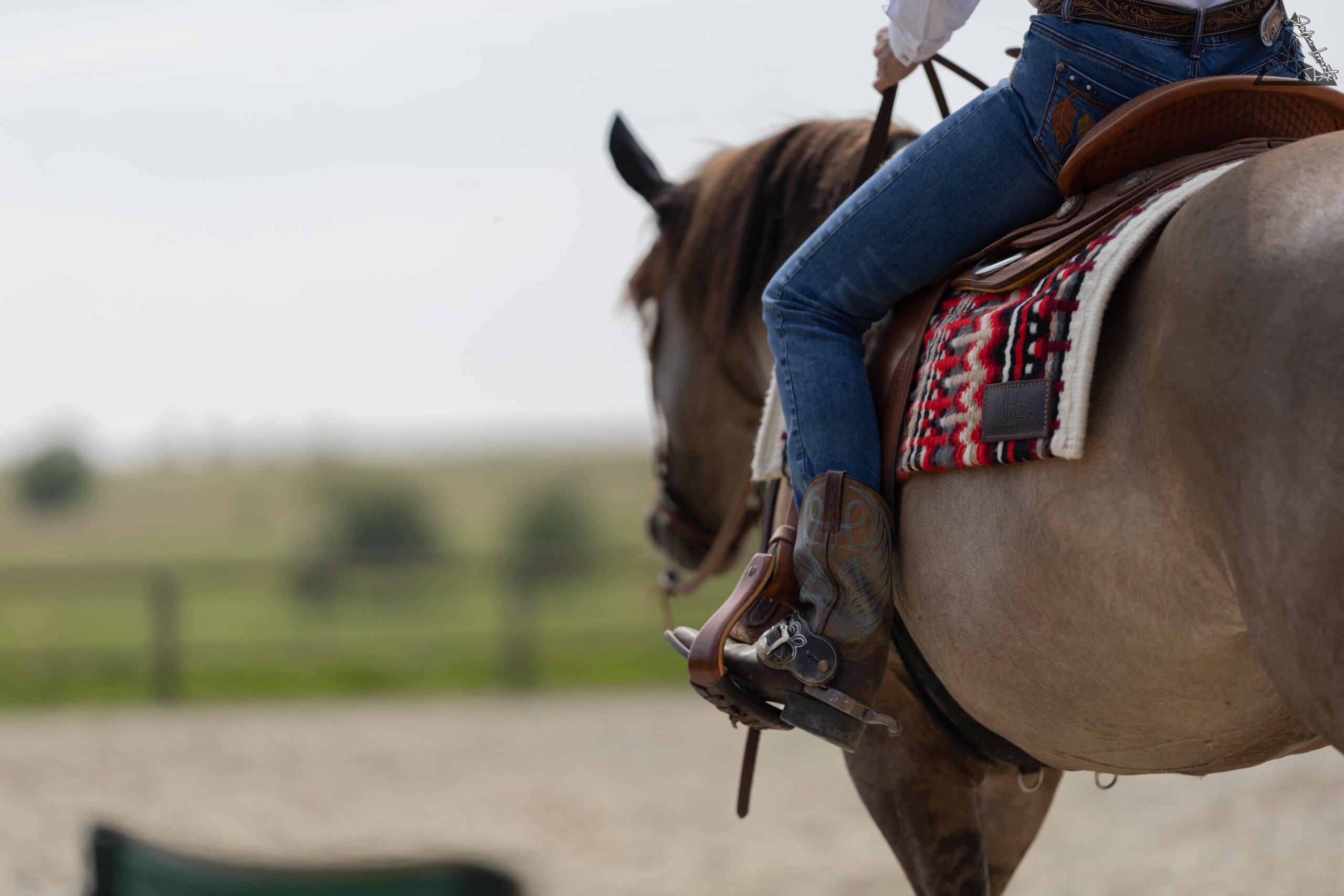 photo-stage-ranch-horse (17)