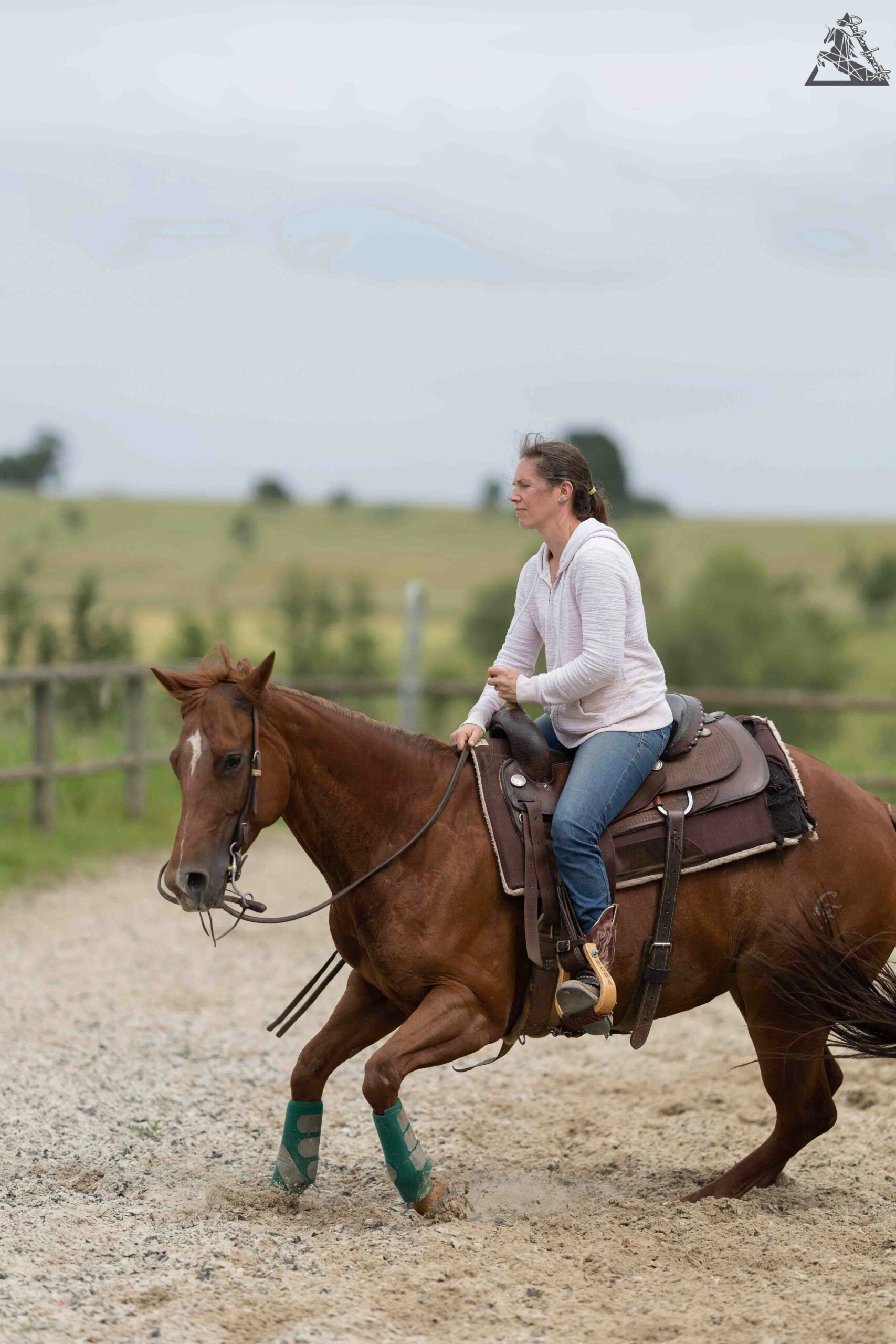 photo-stage-ranch-horse (2)