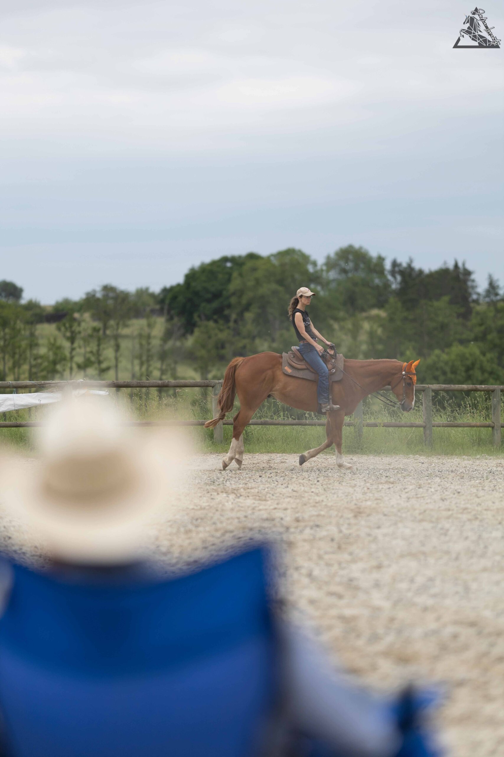 photo-stage-ranch-horse (3)