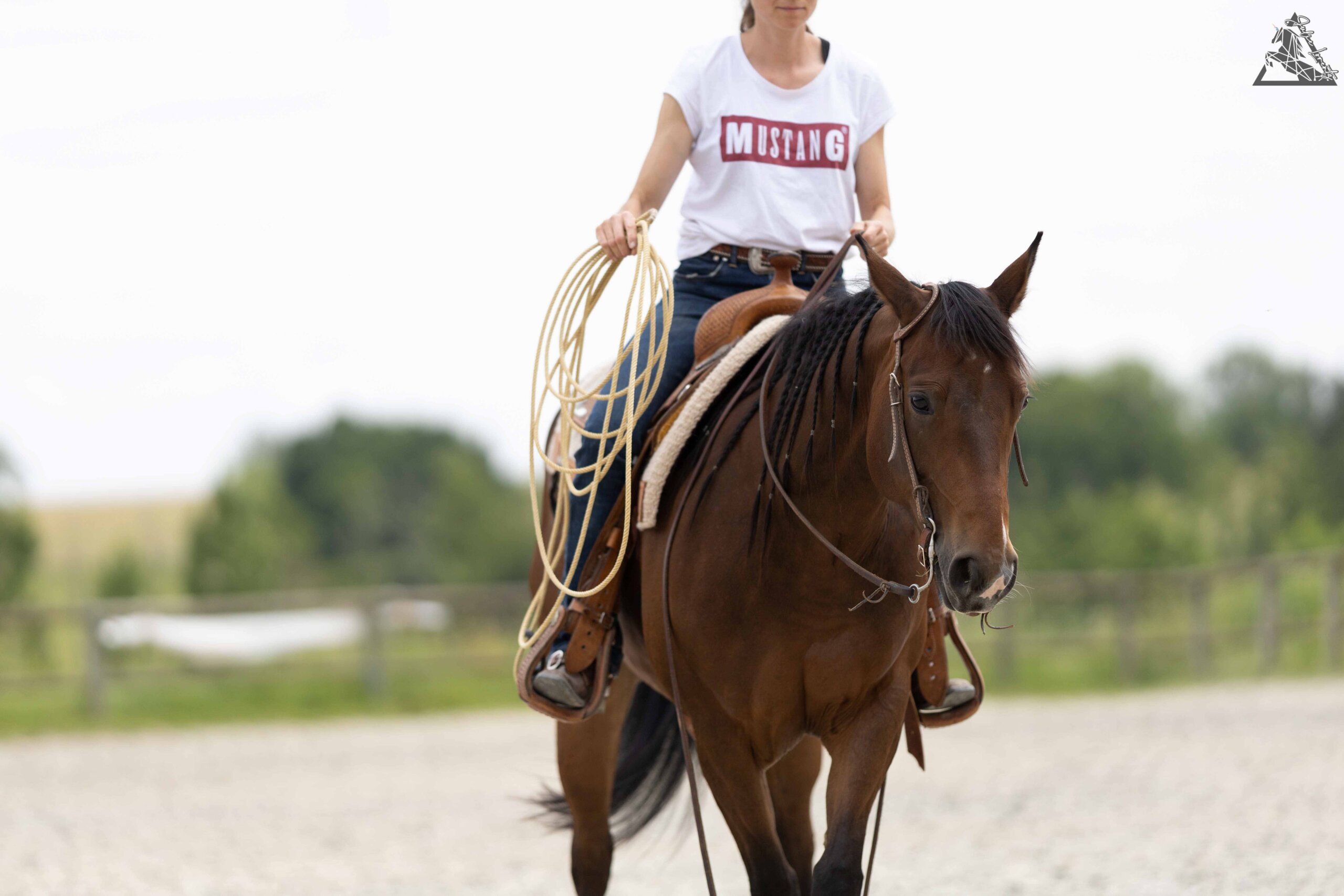 photo-stage-ranch-horse (31)