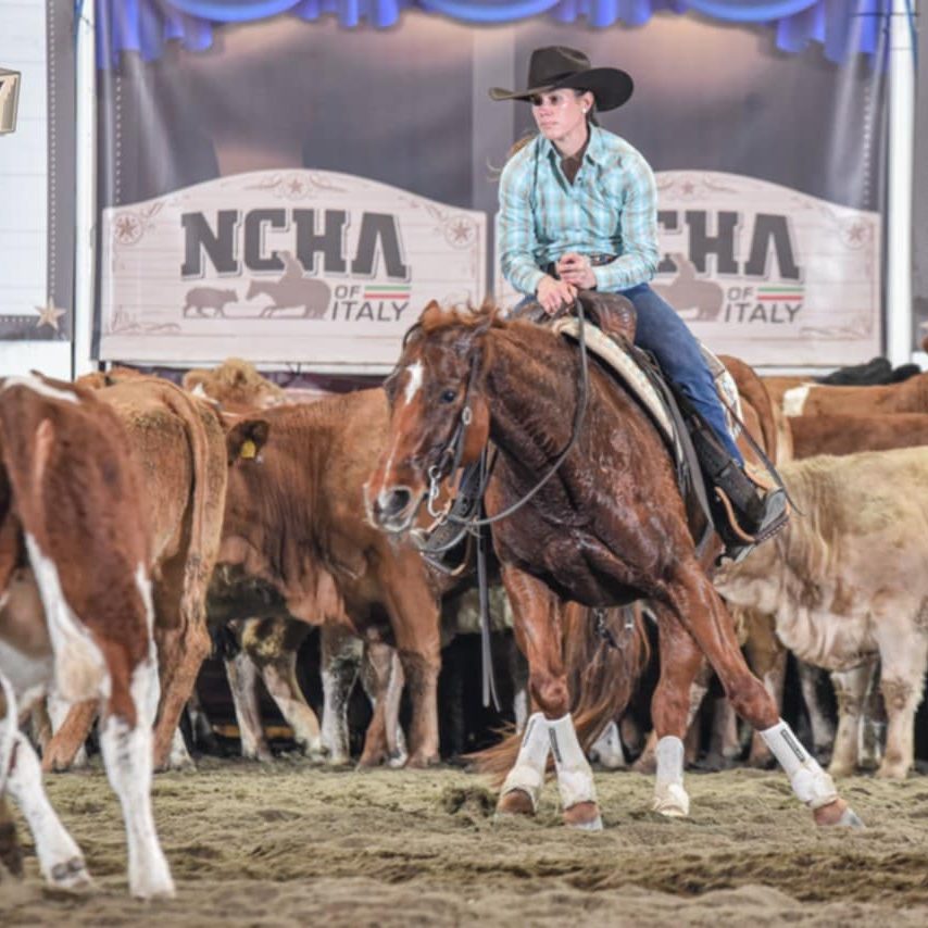 Tiphaine et sa jument sur un concours de cutting NCHA